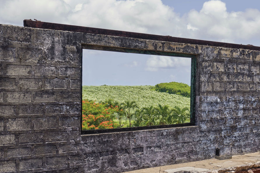 Mount Gay rum-making
