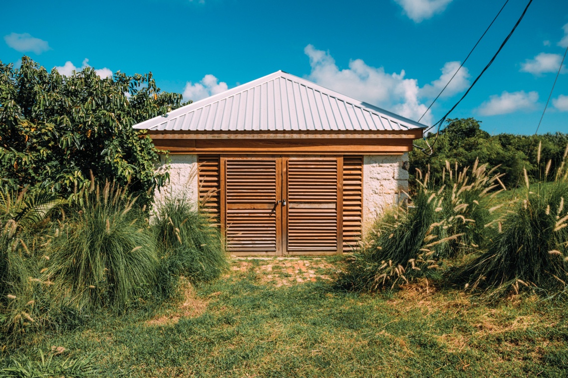 Rum Making